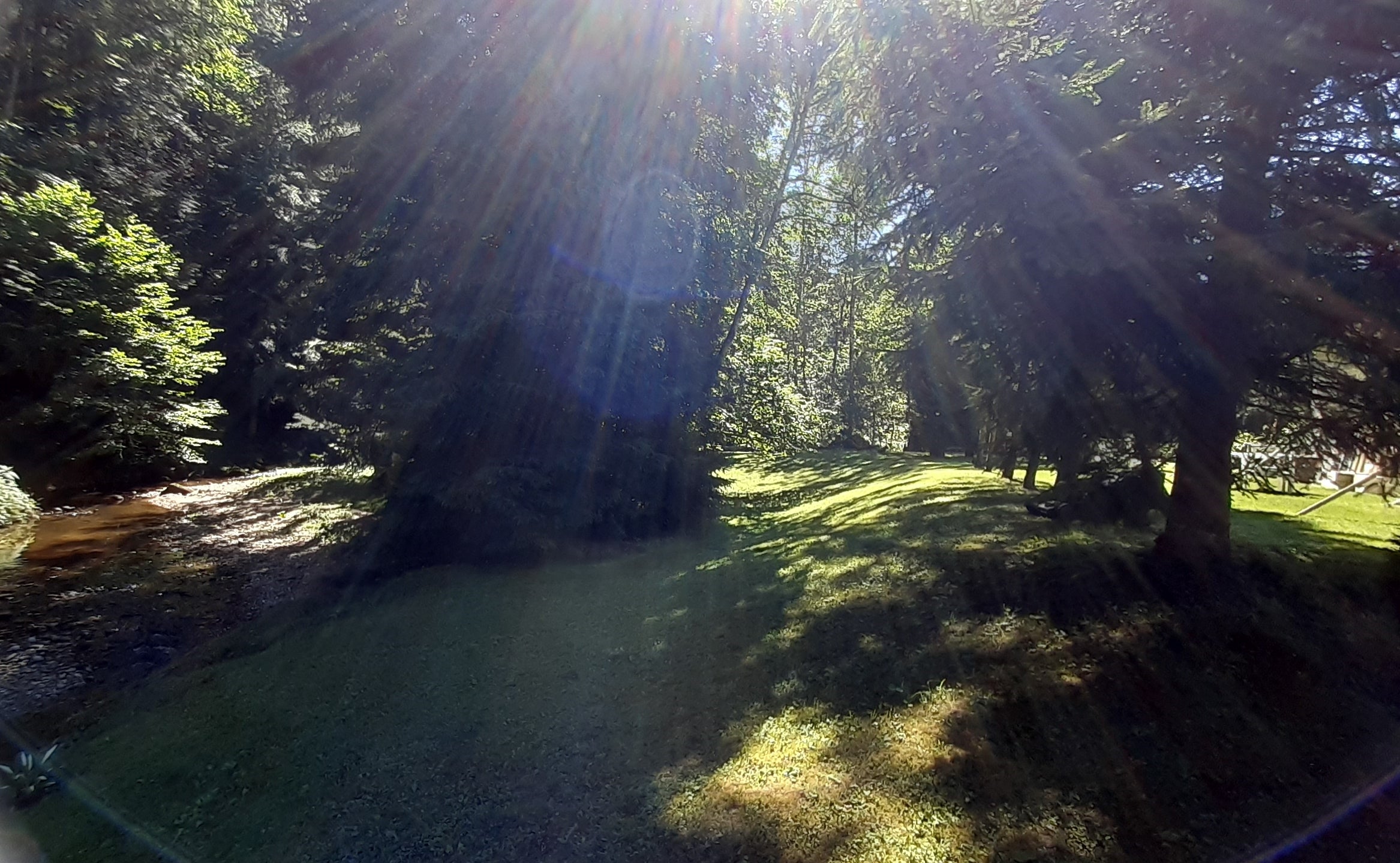 Handcrafted mystical wooden creations from our quiet forest workshop.